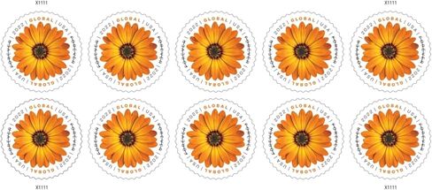 USPS African Daisy 2022 (Sheet of 10) International Mail Global Postage Forever Stamps Scott #5680 in Saudi Arabia