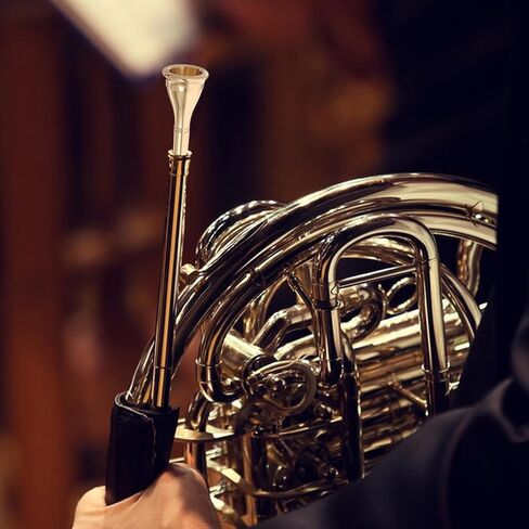 Alasum 2pcs Brass French Horn Mouthpieces Silver Plated Music Instrument Accessories Beginner-friendly Horn Replacement Parts for Concerts and Band Performances in Saudi Arabia