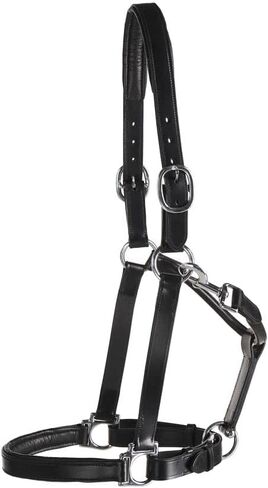 Dover Saddlery Suffolk Everyday Halter, Color: Black, Size: Cob-C/S in Saudi Arabia