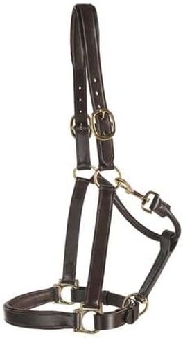 Dover Saddlery Suffolk Everyday Halter, Color: Black, Size: Cob-C/S in Saudi Arabia