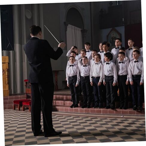 Toddmomy 2pcs Resin Conducting Stick for Marching Band Comfortable Grip Orchestra Music Tool Conductors for in Saudi Arabia