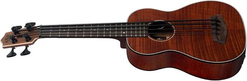تحديث Exotic Mahogany U•BASS® Rosewood in Kuwait