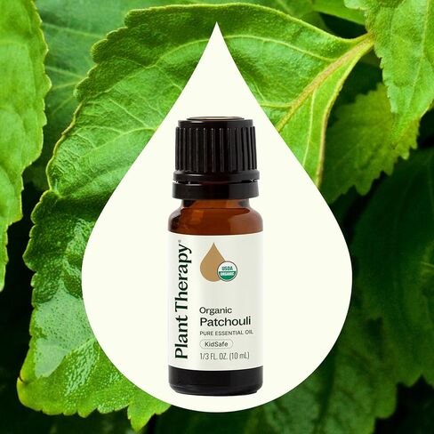 Plant Therapy Organic Patchouli Essential Oil 10 mL (1/3 oz) 100% Pure, Undiluted, Therapeutic Grade in Saudi Arabia