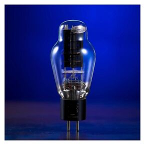 يستبدل أنبوب الفراغ WE300B Plus المطابقة الدقيقة 300B (زوج متطابق 2 قطعة) in Kuwait