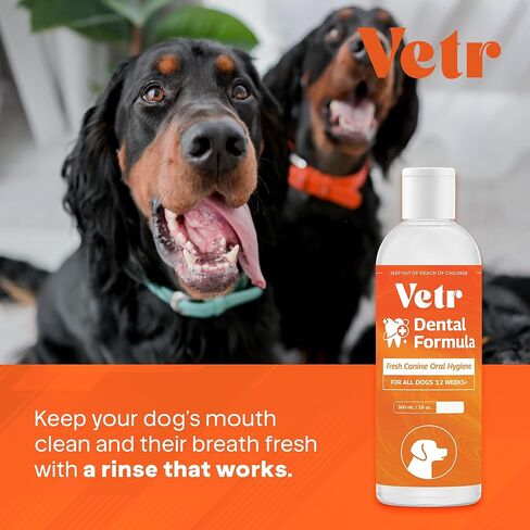 تركيبة Vetr لطب الأسنان للكلاب - مادة مضافة سائلة للعناية بالفم بنكهة النعناع مع إنزيمات لدعم التنفس والأسنان - تركيبة بيطرية في الولايات المتحدة الأمريكية (16 أونصة) in Kuwait