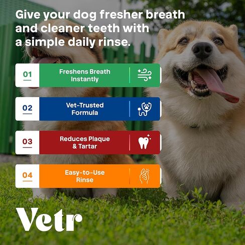 تركيبة Vetr لطب الأسنان للكلاب - مادة مضافة سائلة للعناية بالفم بنكهة النعناع مع إنزيمات لدعم التنفس والأسنان - تركيبة بيطرية في الولايات المتحدة الأمريكية (16 أونصة) in Kuwait