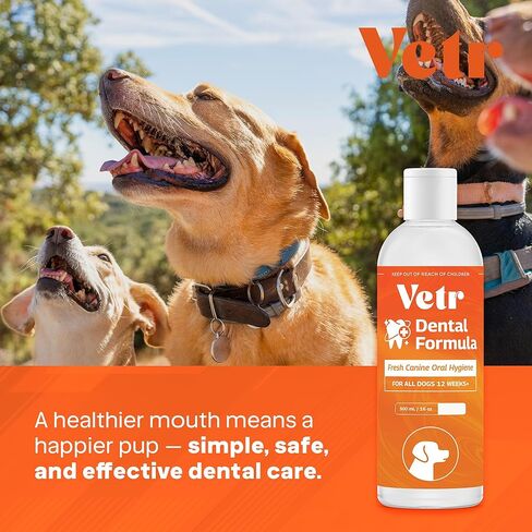 تركيبة Vetr لطب الأسنان للكلاب - مادة مضافة سائلة للعناية بالفم بنكهة النعناع مع إنزيمات لدعم التنفس والأسنان - تركيبة بيطرية في الولايات المتحدة الأمريكية (16 أونصة) in Kuwait