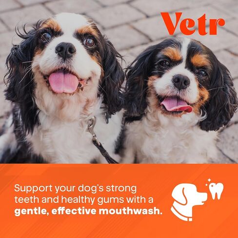 تركيبة Vetr لطب الأسنان للكلاب - مادة مضافة سائلة للعناية بالفم بنكهة النعناع مع إنزيمات لدعم التنفس والأسنان - تركيبة بيطرية في الولايات المتحدة الأمريكية (16 أونصة) in Kuwait