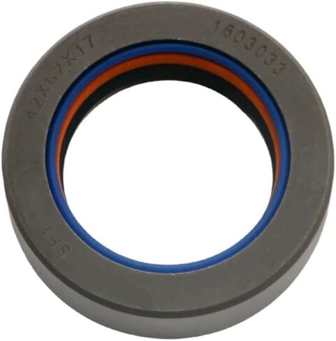 Shaft Seal 42×62×17mm in Saudi Arabia