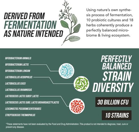 Flora Biome Live Probiotic Liquid, 3-in-1 Probiotic + Prebiotic + Postbiotic, 30 Billion CFU (at Time of Manufacture), 10 Strains, Fermented Herbal Blend with 18 Herbs, Shelf Stable, 16 fl oz in Kuwait