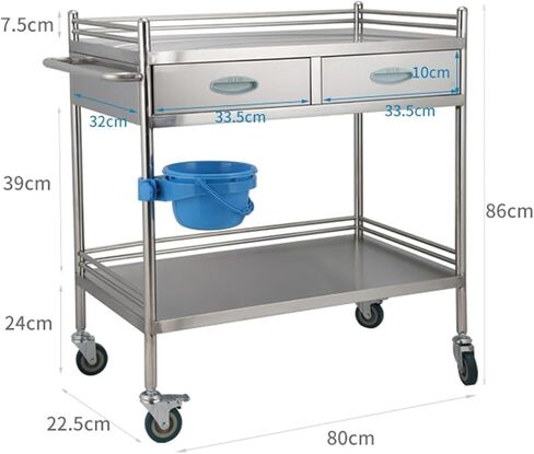Premium Stainless Steel 2-Tier Lab Medical Cart with Drawer - Reliable Rolling Trolley for Labs, Hospitals & Clinics - Max Load 100kg - Convenient & Versatile Equipment S in Saudi Arabia