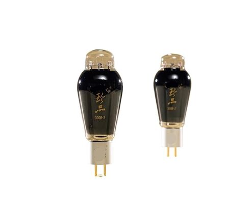 B-319 300B-Z Electron Tube(1PCS) in Saudi Arabia