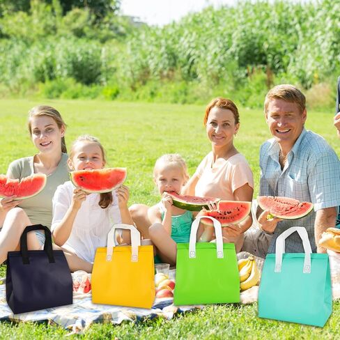 JarThenaAMCS 18Pcs Insulated Take Away Bag Disposable Cooler Bags Thermal Lunch Take out Bags for Hot Cold Drink Fresh Food Delivery (6 Classic Colors) in Saudi Arabia