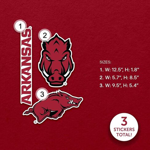 Desert Cactus University of Arkansas WallStix Razorbacks U of A Hogs Removable Wall Sticker 11x17 Vinyl Decal Indoor Outdoor Use (Design A) in Saudi Arabia