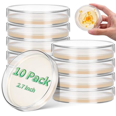 SHINEOFI 10Pcs Pre-Poured Nutrient Agar Plates - 70mm Sterile Petri Dishes Science Lab Equipment for Microbiology Experiments, Education, Research in Saudi Arabia