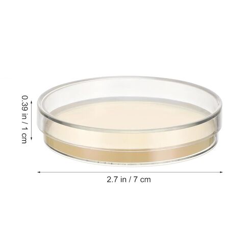 SHINEOFI 10Pcs Pre-Poured Nutrient Agar Plates - 70mm Sterile Petri Dishes Science Lab Equipment for Microbiology Experiments, Education, Research in Saudi Arabia