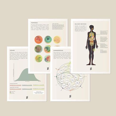 حزمة البطاقات المرجعية للقنب الطبي من Goldleaf، والرسوم البيانية لجيب الماريجوانا الطبية، ومجموعة هدايا معلومات القنب، ورسوم بيانية بحجم الجيب على الوجهين، تم إنشاؤها بواسطة متخصصين طبيين وباحثين in Kuwait