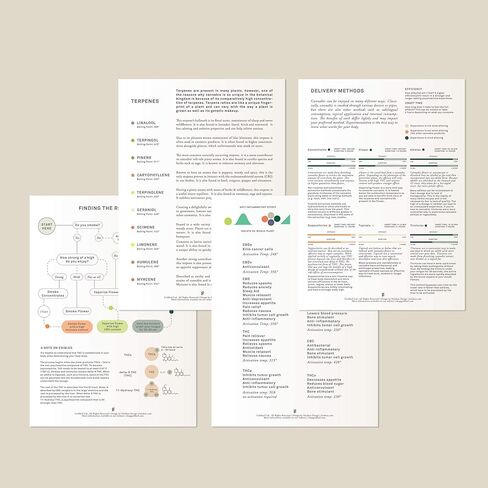 حزمة البطاقات المرجعية للقنب الطبي من Goldleaf، والرسوم البيانية لجيب الماريجوانا الطبية، ومجموعة هدايا معلومات القنب، ورسوم بيانية بحجم الجيب على الوجهين، تم إنشاؤها بواسطة متخصصين طبيين وباحثين in Kuwait