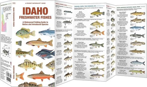 أسماك المياه العذبة في أيداهو (مراقبة الطبيعة في أمريكا الشمالية) in Kuwait