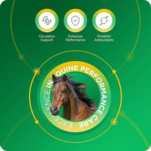 معجون TRM Hemorex للخيول الصحية ، أشياء التغذية المجانية ، العناصر الغذائية الأساسية قبل التمرين المكثف - 1.05 أوقية in Kuwait