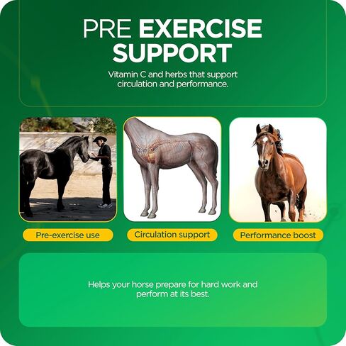 معجون TRM Hemorex للخيول الصحية ، أشياء التغذية المجانية ، العناصر الغذائية الأساسية قبل التمرين المكثف - 1.05 أوقية in Kuwait