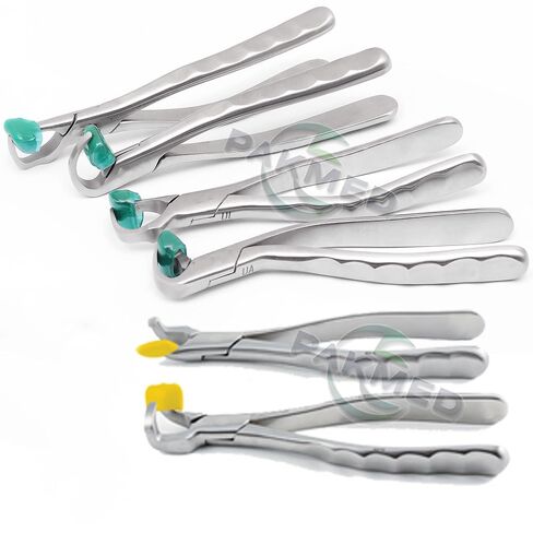 6 Pcs Dental Extracting Forceps Standard and Molar Series Atraumatic Extraction System Teeth Tooth Extraction Forceps for Upper Right/Left/Anterior Lower Universal and 2nd & 3rd Molar with 60 Bumpers in Kuwait