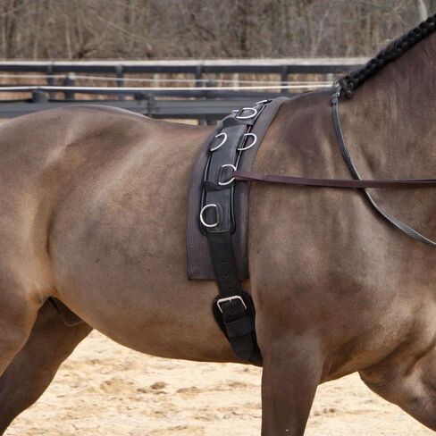 Dura-Tech Deluxe Neoprene Surcingle for Horses | No-Slip Fit for Most Breeds | Comfortable Padded Design | Adjustable Stainless Steel Hardware | Breathable Waffle Weave Girth in Saudi Arabia