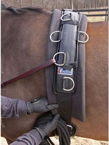 Dura-Tech Deluxe Neoprene Surcingle for Horses | No-Slip Fit for Most Breeds | Comfortable Padded Design | Adjustable Stainless Steel Hardware | Breathable Waffle Weave Girth in Saudi Arabia