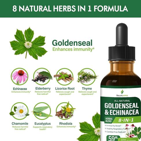 خلاصة Goldenseal & Echinacea، صبغة سائلة لتعزيز المناعة، وظيفة الجهاز التنفسي الصحية، المكملات العشبية مع مستخلص البابونج، جذر عرق السوس، نبات البيلسان. 2 أوقية in Saudi Arabia