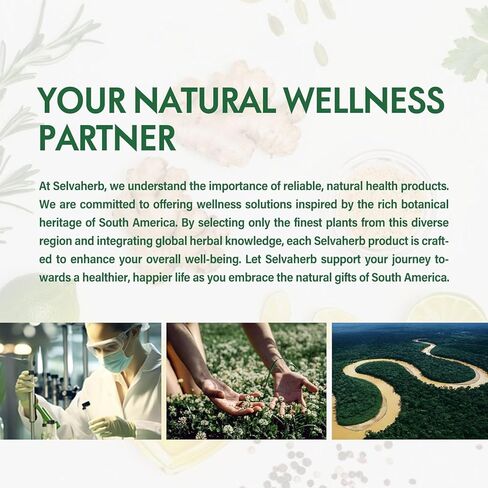 خلاصة Goldenseal & Echinacea، صبغة سائلة لتعزيز المناعة، وظيفة الجهاز التنفسي الصحية، المكملات العشبية مع مستخلص البابونج، جذر عرق السوس، نبات البيلسان. 2 أوقية in Saudi Arabia