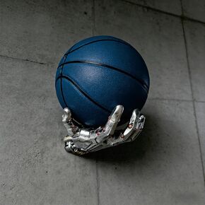 Basketball Ball Storage Holder for Wall Lightweight Resin Display Rack - Football, Volleyball Shelves for Wall Man Cave Decor - Autograph Basketball Coach Gifts, Golden in Kuwait