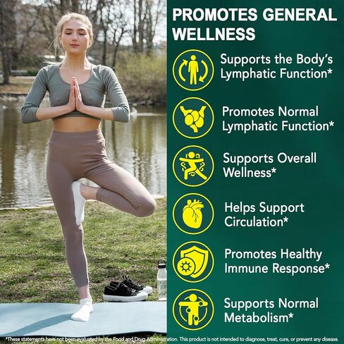 21-in-1 Liposomal Lymphatic Drainage Supplements, 4275mg Lymph System Support Supplement for Women & Men,Herbal Blend,with Dandelion, Burdock, Echinacea,Rutin, Turmeric,Cleavers & More, 240 Softgels in Kuwait