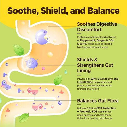 Zinc Carnosine Supplement Sugar Free, Organic Zinc Carnosine 75mg with L-glutamine, Probiotic & Herbal Blend, Comprehensive Gut & Digestive Health Support, Bloating Relief, Vegan, Non-GMO, 60 Gummies in Kuwait
