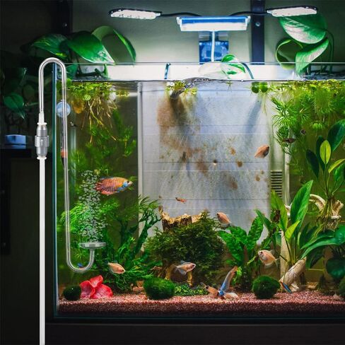 MiOYOOW Aquarium CO2 Check Valve, One Way Non-Return, Self Locking, Aluminum Alloy, 0.3 Bar Push Pressure for OD 6mm Air Pipes, Quick Connect Inline Valve for Fish Tank CO2 System in Saudi Arabia