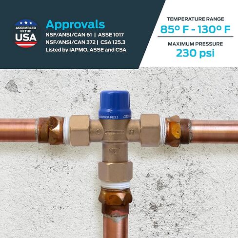 Cash Acme 3/4 Inch HG110-D FNPT Thermostatic Mixing Valve With Integral Checks, Brass Plumbing Fitting, 25523 in Kuwait