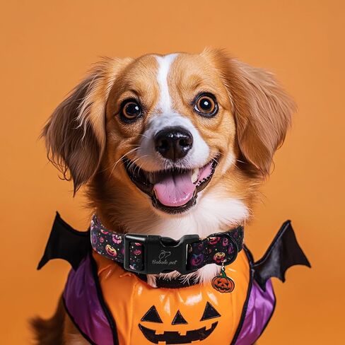 فالنتينز الكلاب طوق للكلاب الصغيرة - تصميم لطيف اللون الأزرق الأزرق عيد الحب الياقات بوي جرو جرو قابلة للتعديل بسرعة طوق مشبك مع القليل من سحر القلب XS in Kuwait