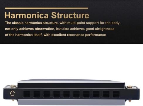 10 Hole Harmonica with Case, C Key Blues Mouth Organ Musical Instrument for Beginner Teaching Playing Harmonica as a Gift (Black) in Saudi Arabia