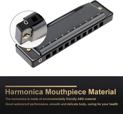 10 Hole Harmonica with Case, C Key Blues Mouth Organ Musical Instrument for Beginner Teaching Playing Harmonica as a Gift (Black) in Saudi Arabia