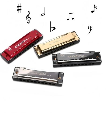 10 Hole Harmonica with Case, C Key Blues Mouth Organ Musical Instrument for Beginner Teaching Playing Harmonica as a Gift (Black) in Saudi Arabia