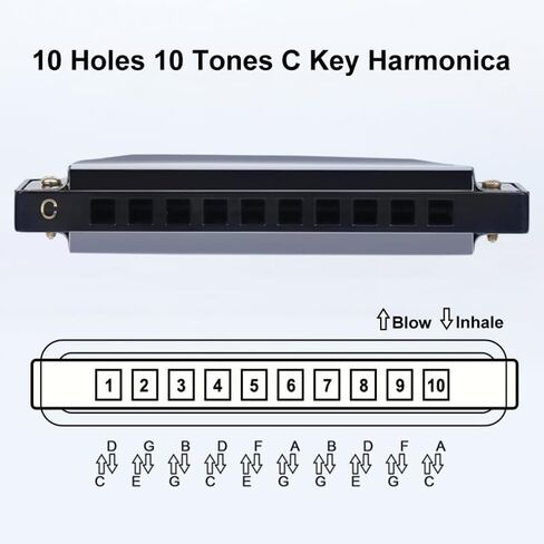 10 Hole Harmonica with Case, C Key Blues Mouth Organ Musical Instrument for Beginner Teaching Playing Harmonica as a Gift (Black) in Saudi Arabia