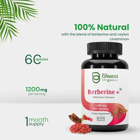 Berberine Supplement -1200mg with Ceylon Cinnamon for Men & Women for Health Support, Vegan & Gluten-Free, 60 Capsules (30 Days of Supply) in Kuwait