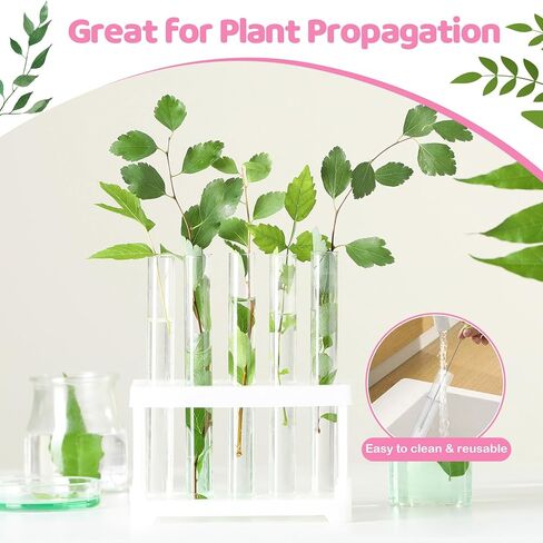 60 قطعة من أنابيب الاختبار البلاستيكية الشفافة مع أغطية - سدادات الفلين، قوارير صغيرة مقاس 15 × 100 مم 10 مل، ختم جيد لتخزين الخرز، أنابيب الحلوى، ملح الحمام، إكثار النباتات، هدايا الحفلات، الحرف اليدوية، تجارب الأطفال in Kuwait