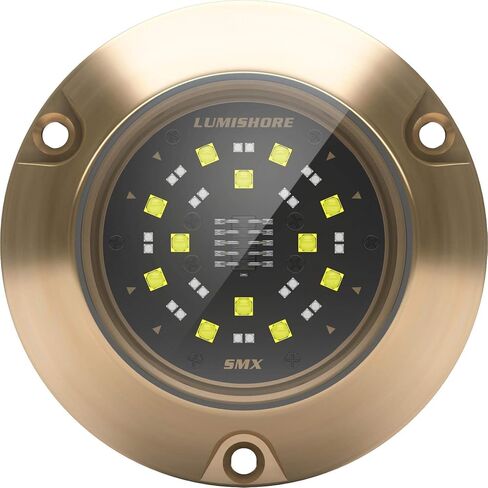 Lumishore SMX24 Eclipse Single Color Surface Mount LED Underwater Light (Blue), 60-0531 in Saudi Arabia