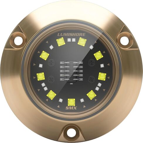 Lumishore SMX24 Eclipse Single Color Surface Mount LED Underwater Light (Blue), 60-0531 in Saudi Arabia