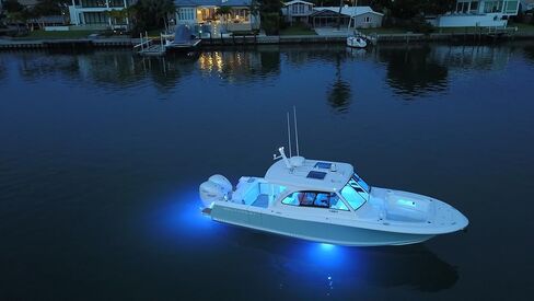 Lumishore SMX24 Eclipse Single Color Surface Mount LED Underwater Light (Blue), 60-0531 in Saudi Arabia
