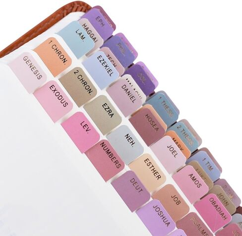 Idyllic Grace - Mini Bible Tabs, Rose Gold Foil Lettering, Journaling, Small Bibles, Study Tool, 90 Tabs, Old and New Testament, Christian, Catholic, Apocrypha, Index Tabs, Glossy Laminated - Elevated in Kuwait