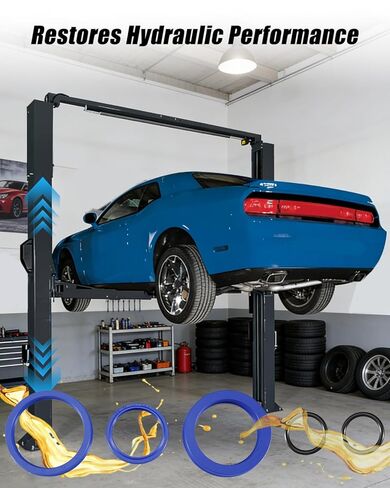 طقم ختم الأسطوانة مناسب لـ Tuxedo Duro Eagle Auto Lift 2-Post Lifts الأسطوانات الهيدروليكية TP9KAC TP9KAF AL2-9K MTP-9 MTP-9-DURO استبدال TP9-1057 in Saudi Arabia
