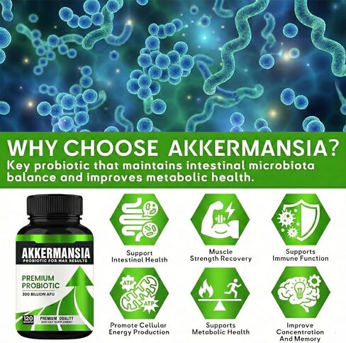 Akkermansia Probiotic Supplement, (120 Count) Akkermansia Muciniphila, High-Potency Formula for Gut Health & Immune Support, 300 Billion CFU, Vegan in Saudi Arabia