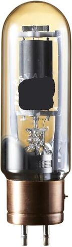 845B Tube Replaces 845 845C 845-T WE845 RCA845 Tube for Precise Matching of Audio Amplifier parameters(1 pcs) in Saudi Arabia