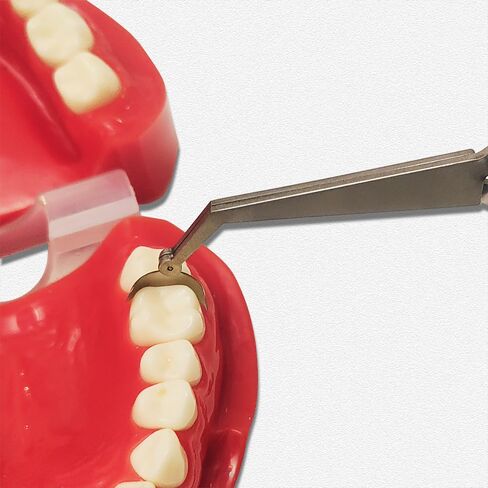 مصفوفة الأسنان عقد الملقط مصفوفات تقويم الأسنان وضع الملقط مصفوفات حامل أدوات طبيب الأسنان أداة جراحية in Kuwait